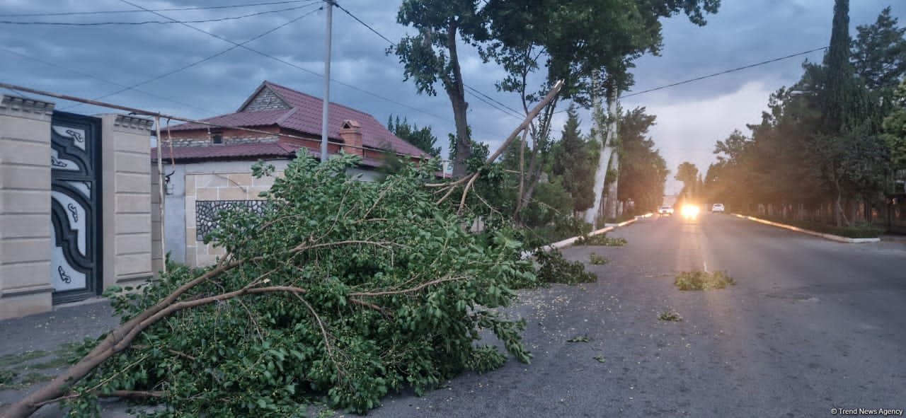 Güclü külək elektrik enerjisi təsərrüfatlarına ziyan vurub