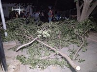 Güclü külək Ağcabədidə fəsadlar törədib (FOTO)
