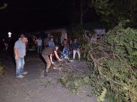 Güclü külək Ağcabədidə fəsadlar törədib (FOTO)