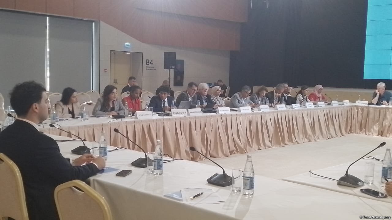 Zəngilanda "COP29-a aparan yol: Dayanıqlı və davamlı gələcək" mövzusunda toplantı başa çatıb (YENİLƏNİB) (FOTO/VİDEO)