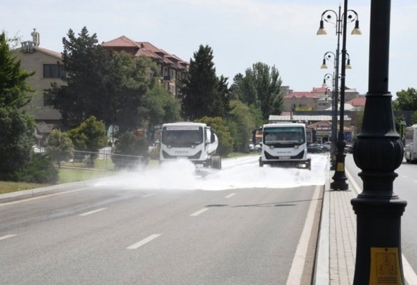 Paytaxtda növbəti ümumşəhər iməcliyi keçirilib