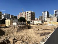 Bakıda ağacların qanunsuz kəsilməsi müəyyən olunub - AÇIQLAMA