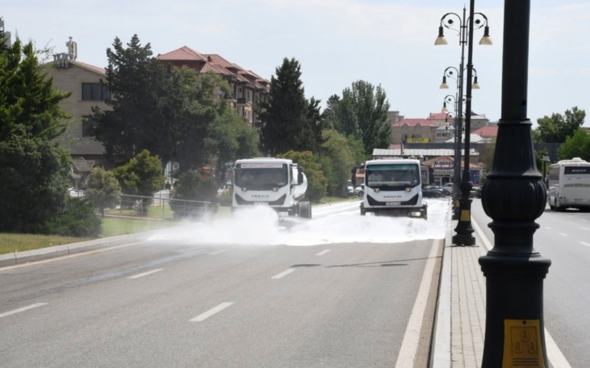 Paytaxtda növbəti ümumşəhər iməcliyi keçirilib