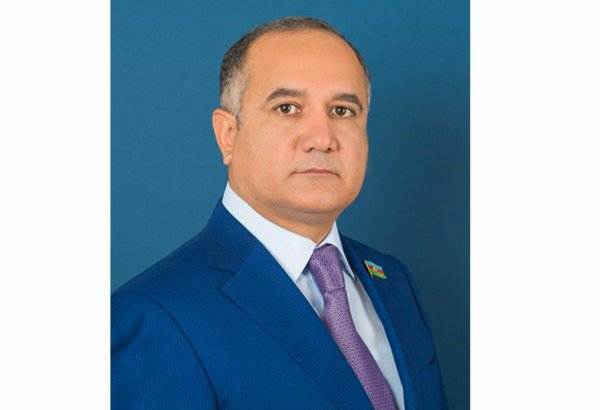 Azərbaycan özünün enerji potensialını daim artırır - Kamaləddin Qafarov