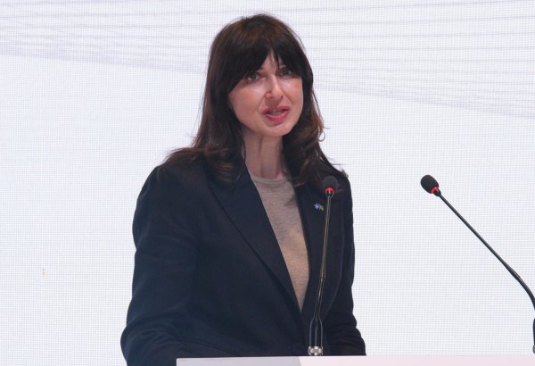 BMT tullantıların idarə edilməsində dairəvi iqtisadiyyatın tərəfdarıdır - Vladanka Andreyeva