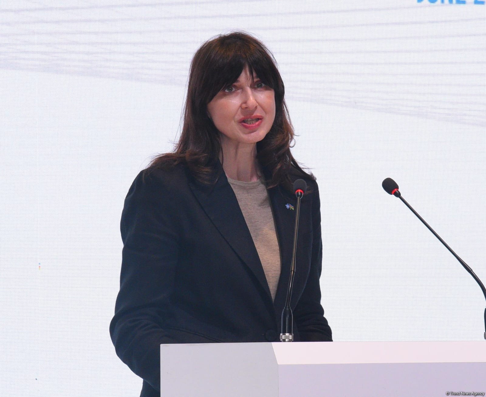 BMT tullantıların idarə edilməsində dairəvi iqtisadiyyatın tərəfdarıdır - Vladanka Andreyeva