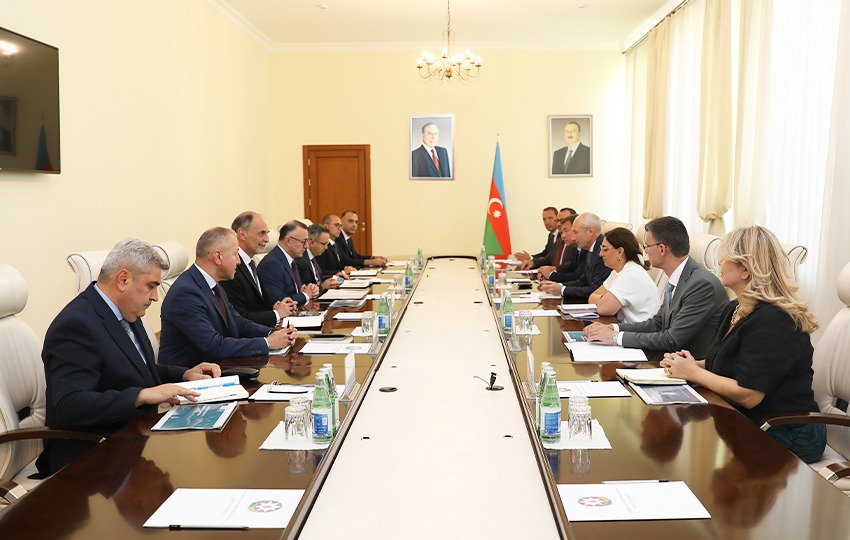 Səhiyyə Nazirliyində “Philips” şirkətinin rəqəmsal səhiyyə üzrə regional rəhbəri ilə görüş keçirilib (FOTO)