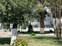 Xankəndidə “Palace” və “Qarabağ” hotellərində qonaqların rahatlığı üçün hər cür şərait yaradılıb (FOTO)