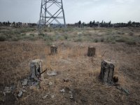 Hacıqabulda elektrik dirəklərini oğurlayan şəxs saxlanılıb (FOTO)
