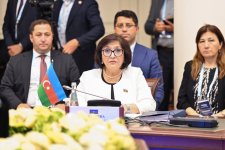 Sahibə Qafarova Sankt-Peterburqda MDB PA Şurasının iclasında iştirak edib (FOTO)