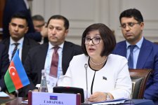 Sahibə Qafarova Sankt-Peterburqda MDB PA Şurasının iclasında iştirak edib (FOTO)