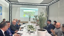 Ekologiya və Təbii Sərvətlər Nazirliyi tikinti şirkətlərinə rəmzi ağac hədiyyə edib (FOTO)