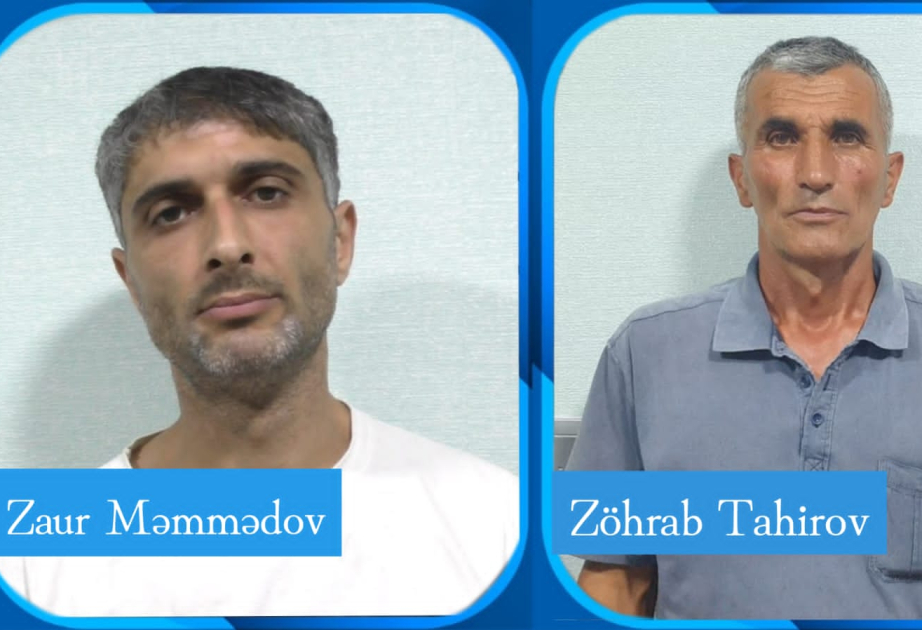Narkotik tərkibli bitkilər yetişdirən Lerik sakinləri saxlanılıblar