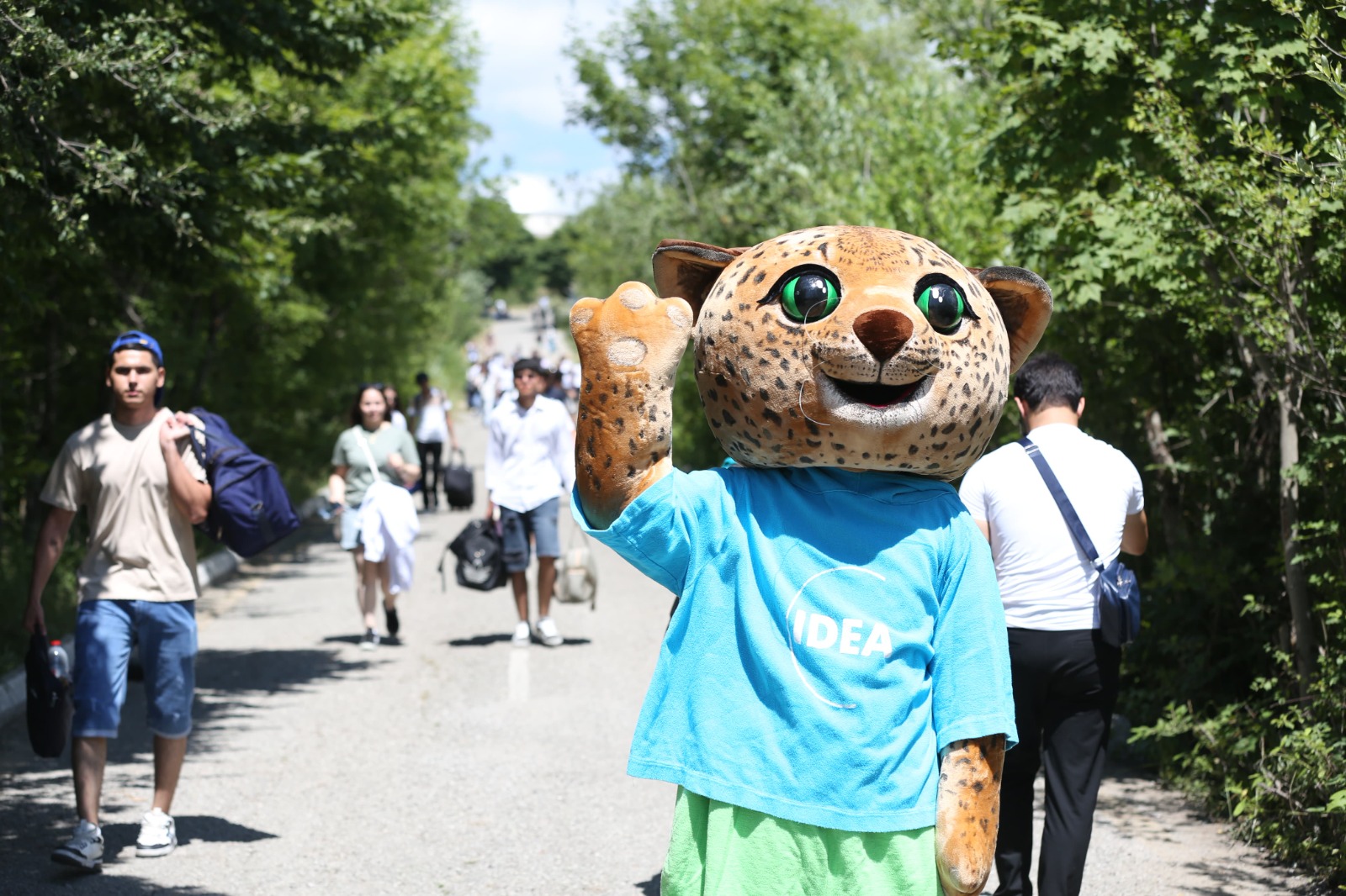 Ölkənin ən böyük gənclər festivalı “Yay Fest” başladı (FOTO)