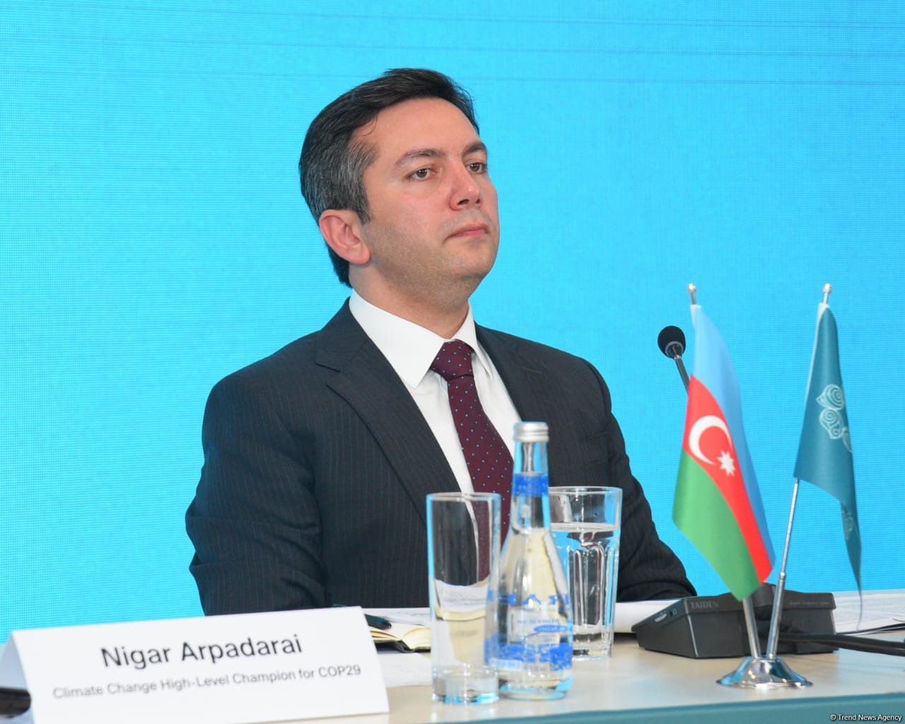 COP29-un  baş danışıqçısı investisiya fəaliyyətinin əsas istiqamətlərini açıqlayıb