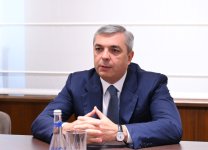 Samir Nuriyev BMT-nin İqlim Dəyişmələri üzrə Çərçivə Konvensiyasının icraçı katibi ilə görüşüb (FOTO)