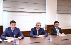 Samir Nuriyev BMT-nin İqlim Dəyişmələri üzrə Çərçivə Konvensiyasının icraçı katibi ilə görüşüb (FOTO)