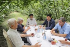 Xaçmazda fındıq bağlarında məhsul yığımı davam edir