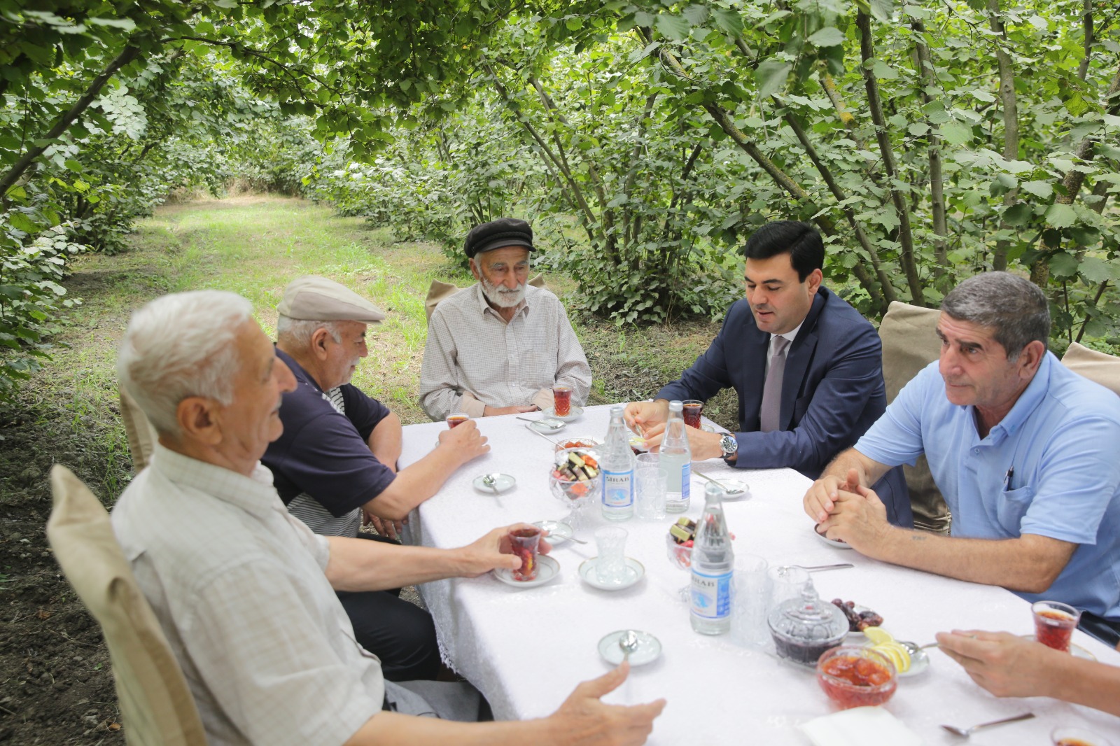 Xaçmazda fındıq bağlarında məhsul yığımı davam edir