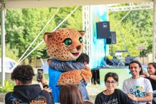 “Yay Fest” öz əyləncəsi ilə davam edir (FOTO)