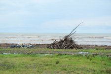 DSX-nin hərbi qulluqçuların iştirakı ilə Xəzərin sahili təmizlənib (FOTO)