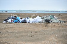 DSX-nin hərbi qulluqçuların iştirakı ilə Xəzərin sahili təmizlənib (FOTO)