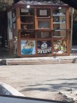 Şirvanda azyaşlılara tütün məmulatları satanlar məsuliyyətə cəlb olunublar