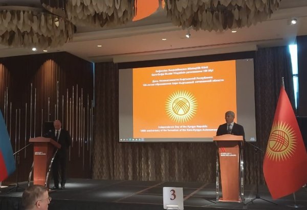 COP29 Azərbaycan və Qırğızıstan arasında yaşıl enerji sahəsində sıx əməkdaşlıq üçün imkanlar açacaq - Nazir