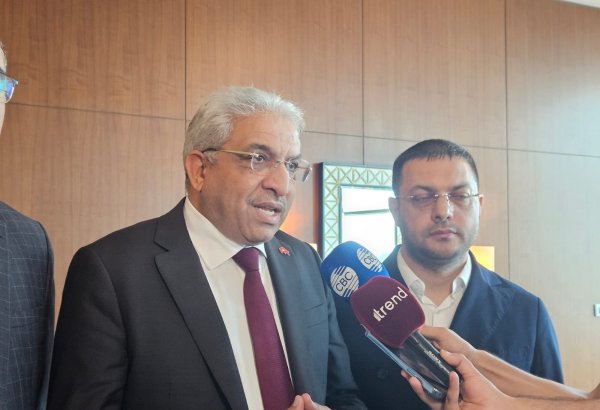 Seçkilər zamanı heç bir mənfi hal qeydə alınmayıb - Mohammed Sabbari