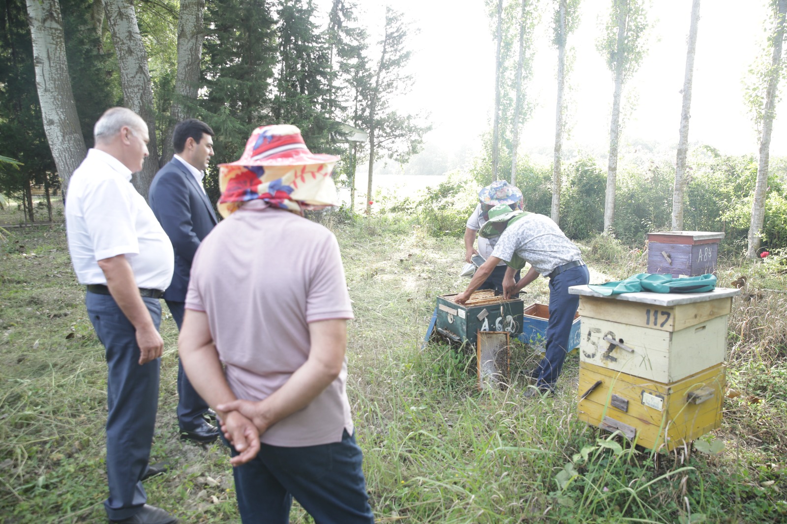 Xaçmazda arıçılıq təsərrüfatlarında məhsuldarlıq yüksəlib (FOTO)
