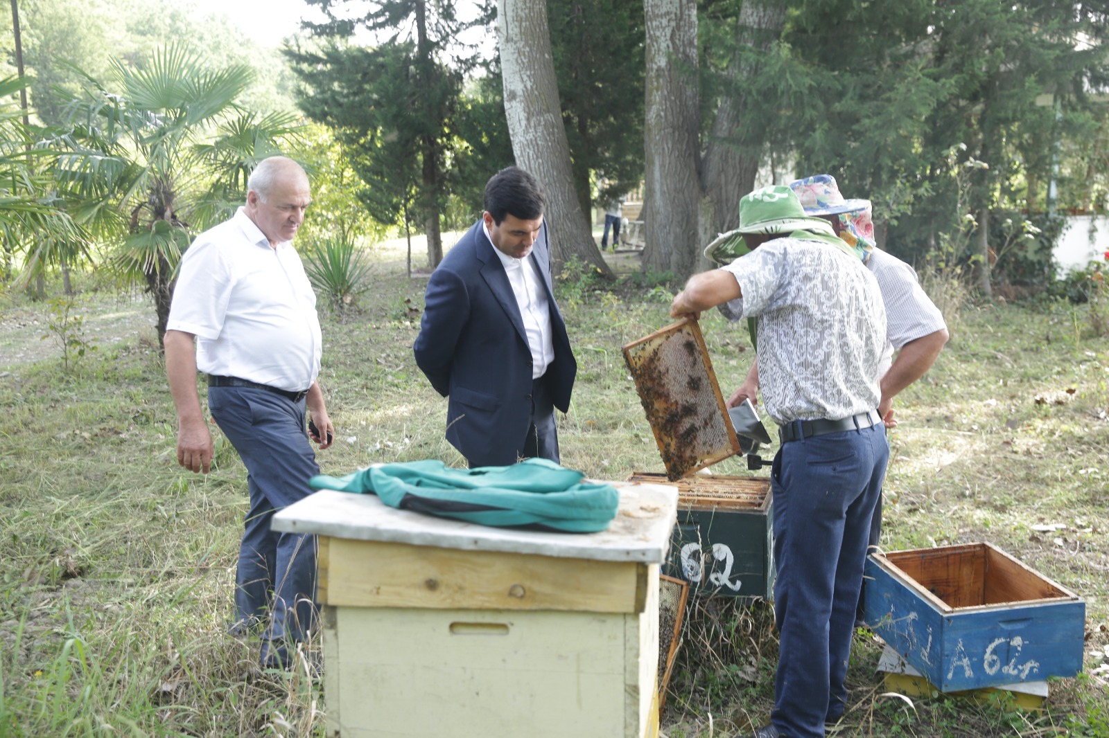 Xaçmazda arıçılıq təsərrüfatlarında məhsuldarlıq yüksəlib (FOTO)