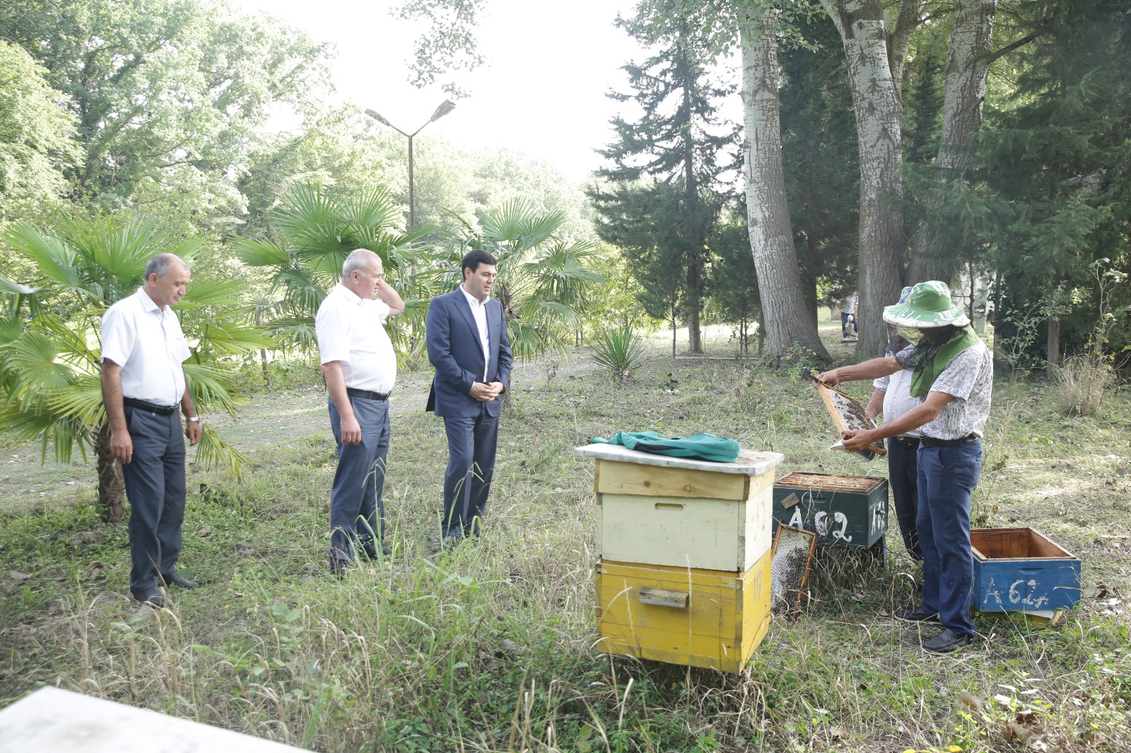 Xaçmazda arıçılıq təsərrüfatlarında məhsuldarlıq yüksəlib (FOTO)