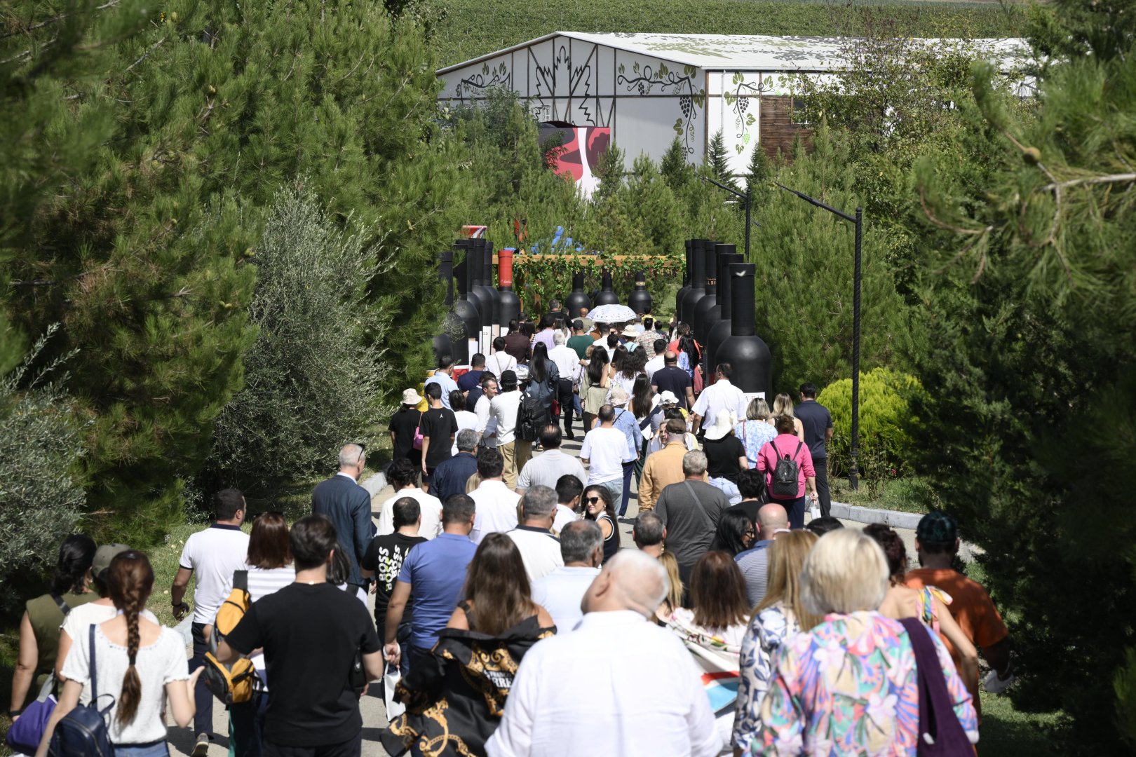 Şamaxıda Üzüm və Şərab Festivalı keçirilir (FOTO/VİDEO)