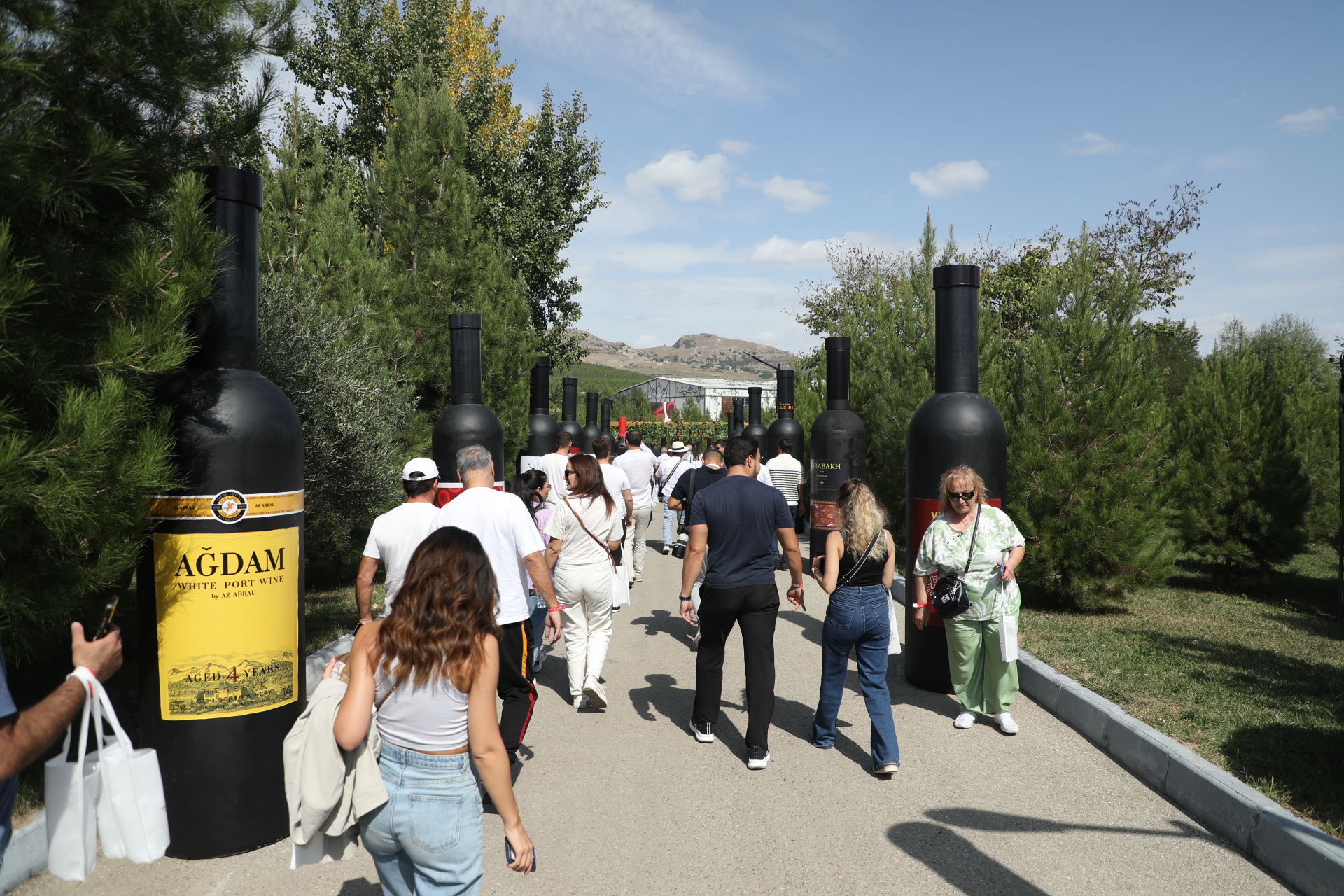 Şamaxıda Üzüm və Şərab Festivalı keçirilir (FOTO/VİDEO)