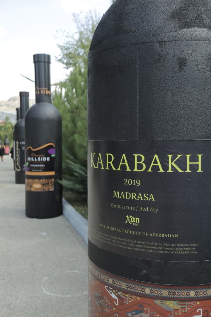 Şamaxıda Üzüm və Şərab Festivalı keçirilir (FOTO/VİDEO)