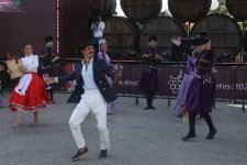 Şamaxıda Üzüm və Şərab Festivalı keçirilir (FOTO/VİDEO)