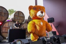 Şamaxıda Üzüm və Şərab Festivalı keçirilir (FOTO/VİDEO)
