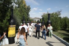 Şamaxıda Üzüm və Şərab Festivalı keçirilir (FOTO/VİDEO)