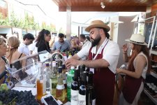 Şamaxıda Üzüm və Şərab Festivalı keçirilir (FOTO/VİDEO)