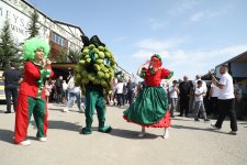 Şamaxıda Üzüm və Şərab Festivalı keçirilir (FOTO/VİDEO)