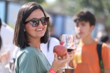 Şamaxıda Üzüm və Şərab Festivalı keçirilir (FOTO/VİDEO)
