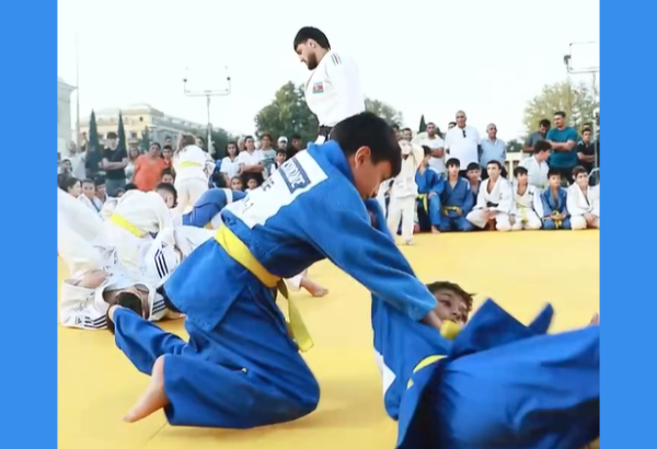 Cüdo Federasiyası Gəncədə master-klass keçib