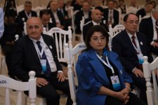 “Qlobal akademik şəbəkənin qurulması: yerli universitet və elmi tədqiqat institutlarının inkişafı üçün yeni yanaşmalar” mövzusunda panel müzakirəsi aparılıb (FOTO)