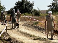 Horadiz kəndinin 80 faizi minalardan təmizlənib (FOTO)