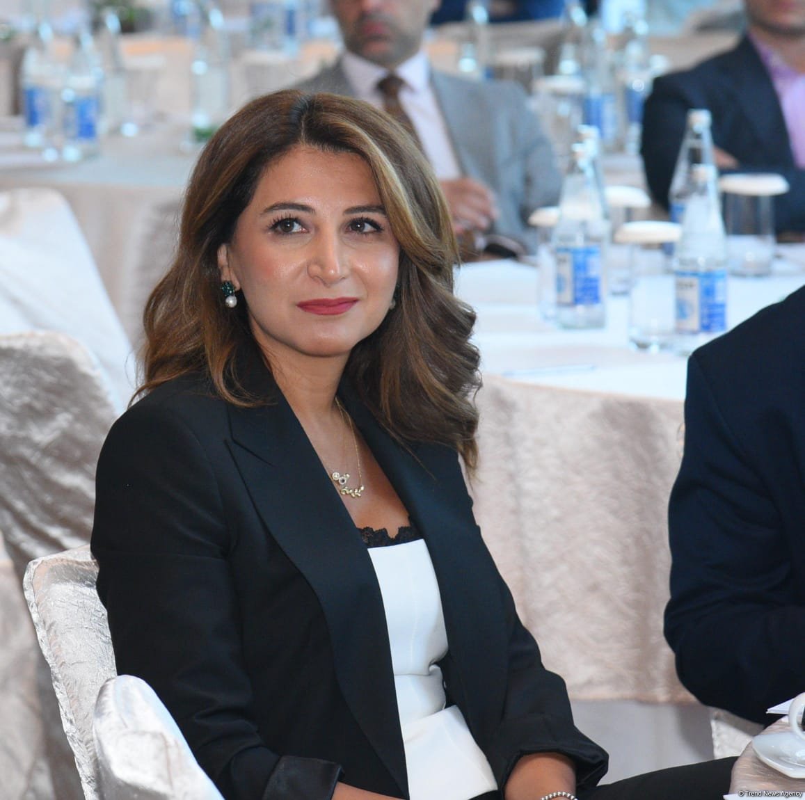 Davamlı İnkişaf və İqlim İnnovasiyaları üzrə Beynəlxalq Forum keçirilib (FOTO) (ƏLAVƏ OLUNUB)
