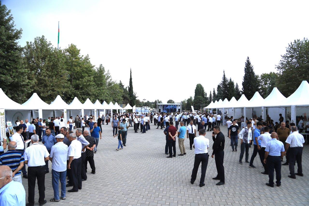 Masallıda “KOB FEST” sərgi-satış yarmarkası keçirilir (FOTO)