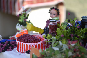 Göygöldə ilk dəfə olaraq “Moruq Festivalı” keçirilir (FOTO)