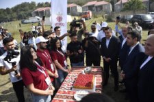 Göygöldə ilk dəfə olaraq “Moruq Festivalı” keçirilir (FOTO)