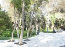 Səs-küysüz, göz oxşayan “Xaqani” bağından FOTOREPORTAJ