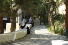 Səs-küysüz, göz oxşayan “Xaqani” bağından FOTOREPORTAJ